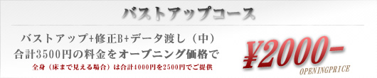 �V�h�̕��꒬�X�^�W�I�I�t�B�X�G�[�̃o�X�g�A�b�v�R�[�X