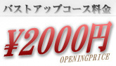 オープニング価格